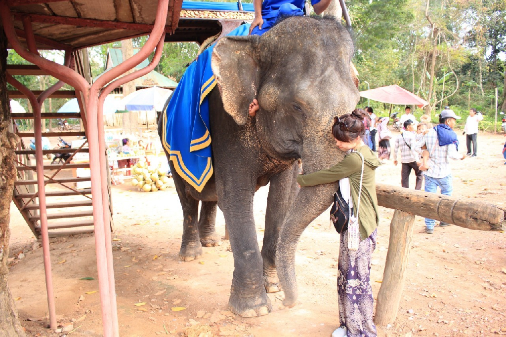 テラヨガ大阪　圓満寺の講師紹介